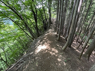 Yama